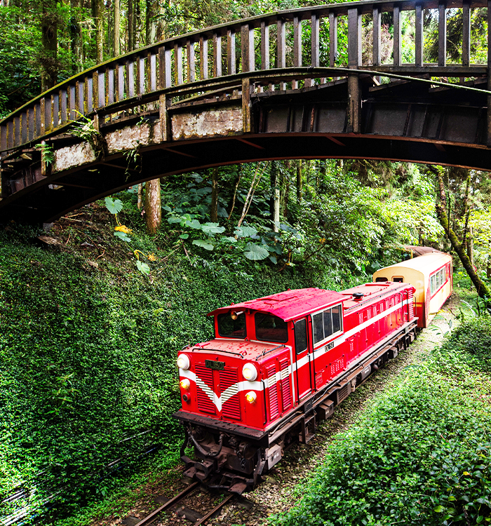 隙頂二延平茶園・佐登妮絲城堡・太平雲梯|阿里山小火車｜英迪格 × 仁義湖岸 3日