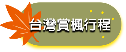 台灣賞楓