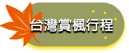 台灣賞楓