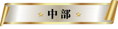 中部五星級酒店