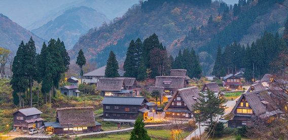 日本賞櫻
