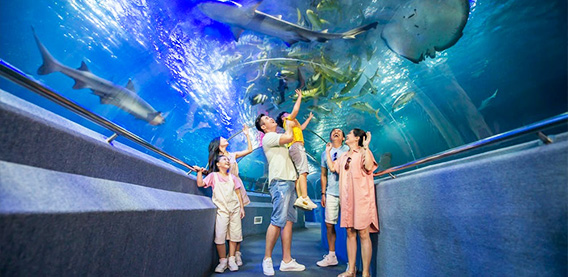 珍珠奇幻主題樂園
