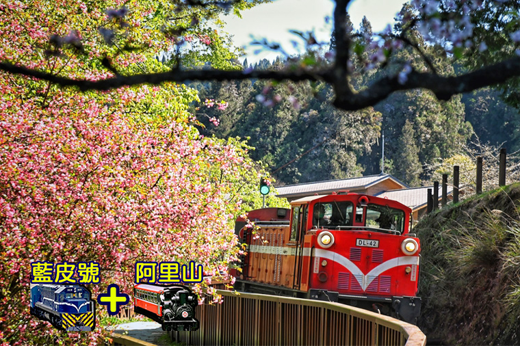 五星環島雙列車三大風景區深度7日