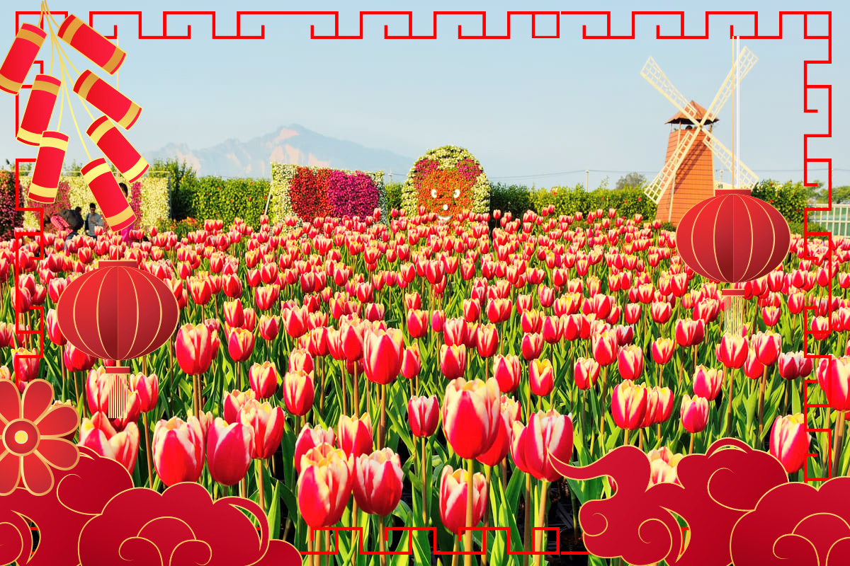 迎春玩嘉南二泊六食祈福燈會花海3日