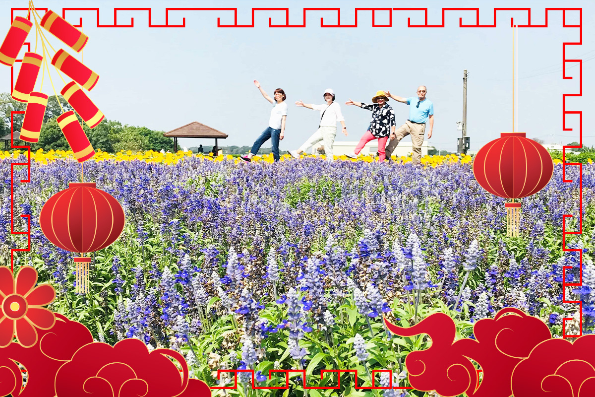 吉利花開鬱金香花海吃甜甜嘉義觀止2日