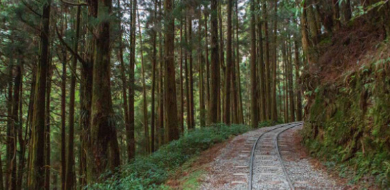 特富野古道