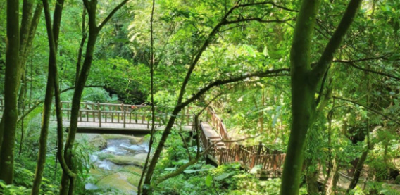 百年糯米橋