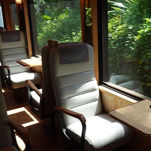 福森號列車穿越阿里山森林