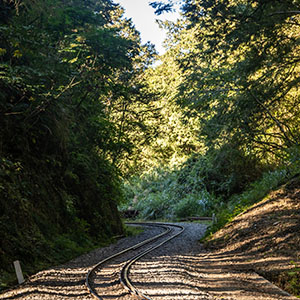 阿里山小火車