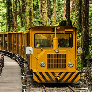 黃色林鐵小火車穿梭於翠綠森林鐵道