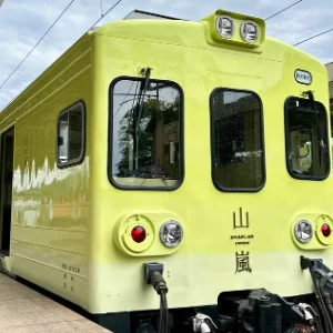山嵐號黃綠色系車廂
