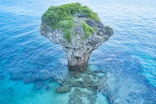 小琉球洋樓蘇宅旅店墾丁H會館3日 必吃蜂巢蝦