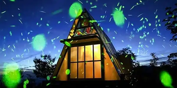 百萬夜景!深山林內農場2日 | 半山夢工廠