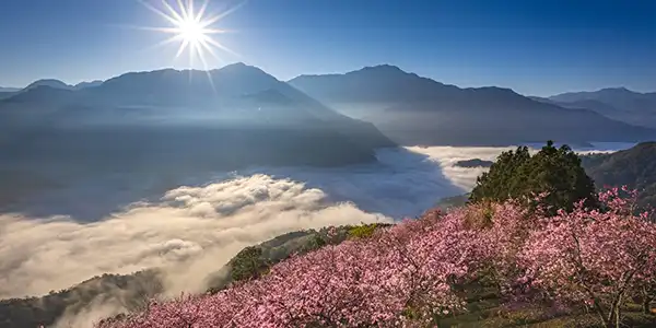 雲的故鄉!武界部落2日 | 武界雲海日出