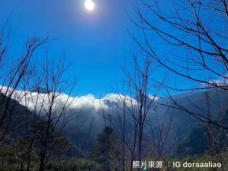 司馬庫斯巨木群步道千年神木｜行憲連假北部2日遊