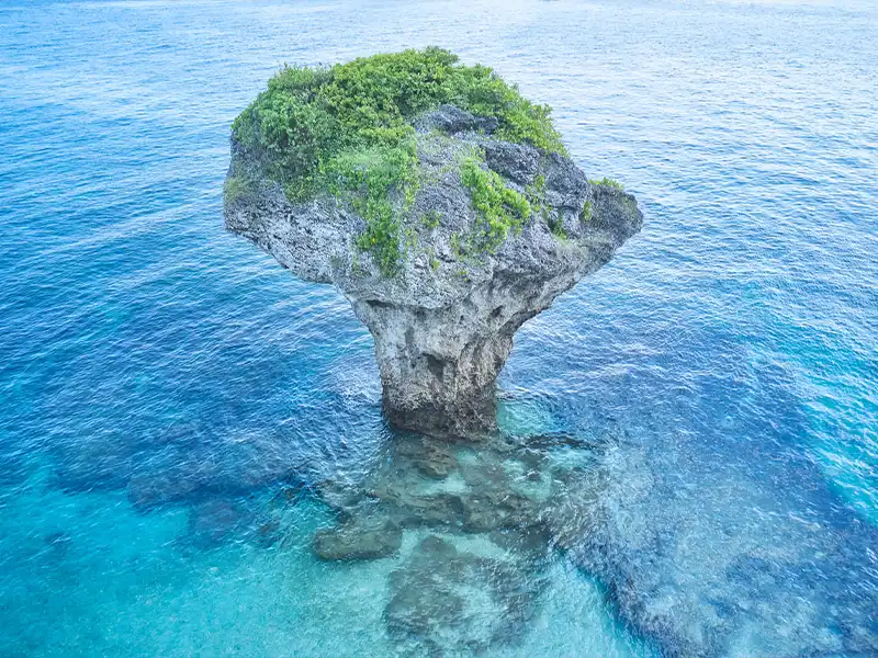 小琉球機車環島尋海龜與H會館海景｜行憲連假南部3日遊