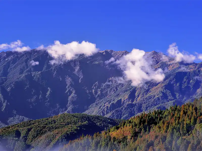 太平山見晴懷古步道雲霧森林小徑｜行憲連假東部2日遊