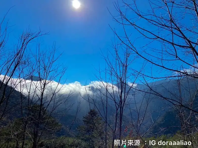 司馬庫斯巨木群步道千年神木｜元旦連假北部2日遊