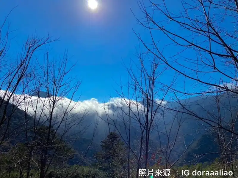 上帝的部落-司馬庫斯漫步山林2日