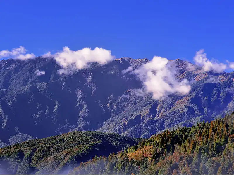 太平山森林見晴懷古步道五星萬豪酒店2日