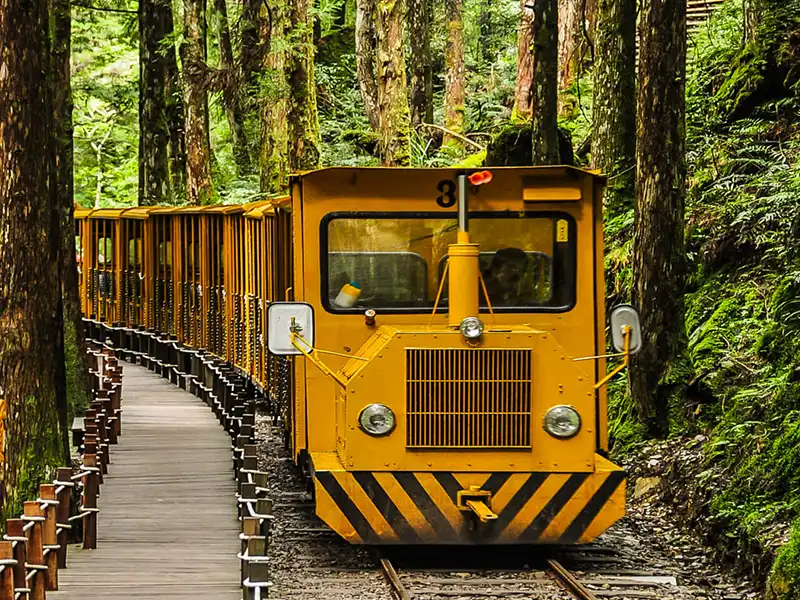 太平山森林遊樂區蹦蹦車見晴古道1日
