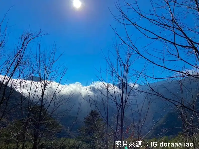 司馬庫斯巨木群步道千年神木｜光復連假北部2日遊