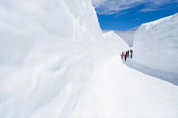 日本旅遊