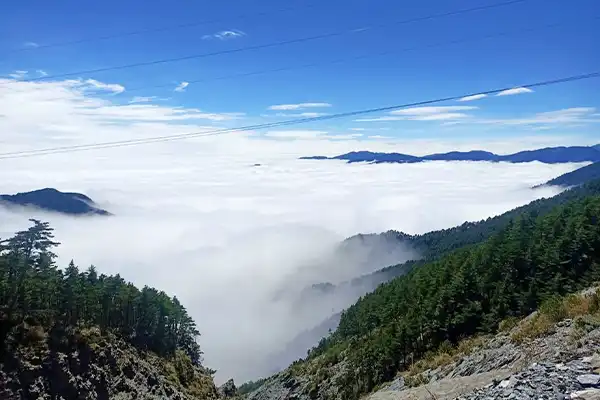 台灣旅遊