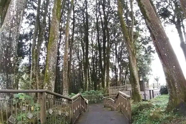 台灣旅遊
