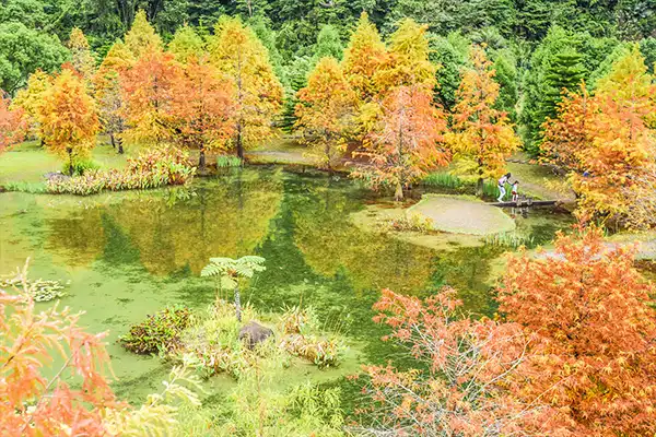 台灣旅遊